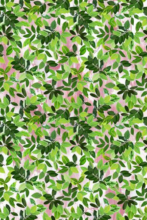 小叶子印花华亿平台图片