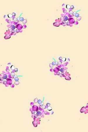 葡萄印花华亿平台图片