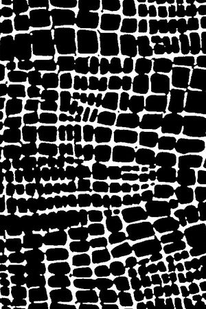 泳装印花华亿平台图片