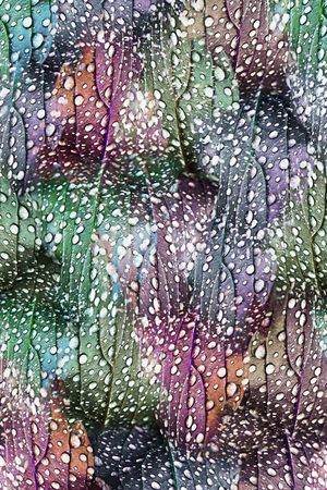 局部印花华亿平台图片