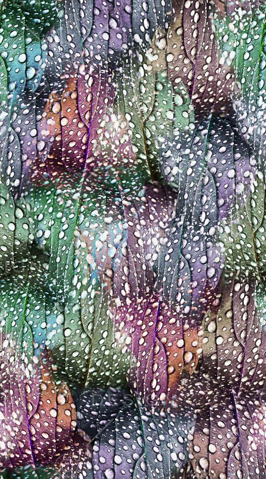 局部印花华亿平台图片