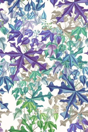 七彩印花华亿平台图片