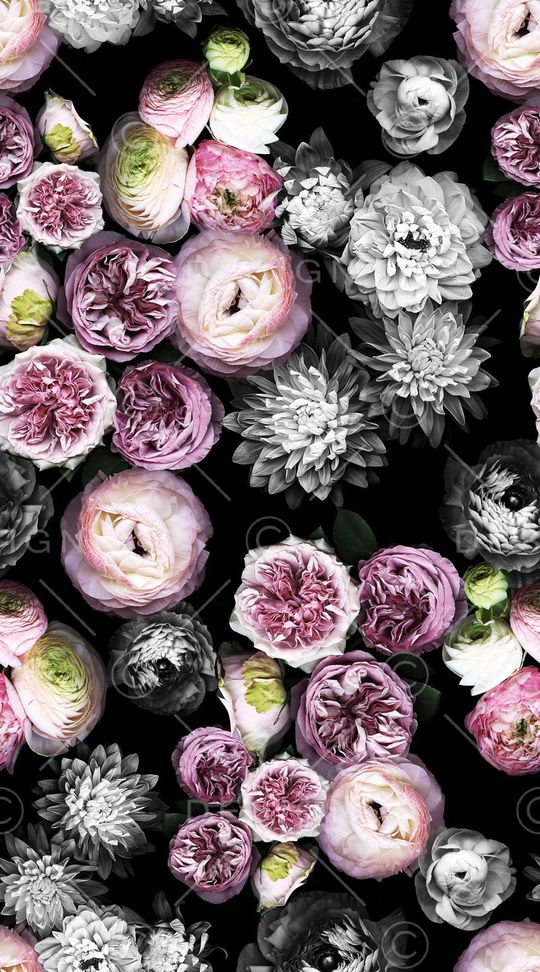 满版印花华亿平台图片