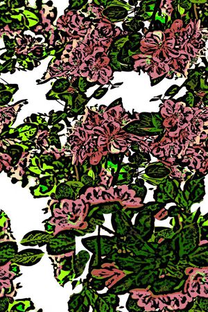 装饰印花华亿平台图片