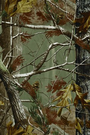 树林印花华亿平台图片