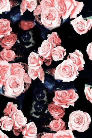 大牌复古玫瑰印花华亿平台图片