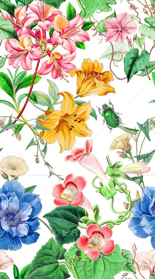 复古印花华亿平台图片