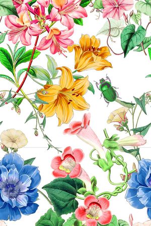 复古印花华亿平台图片