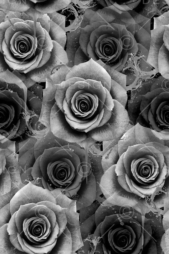 玫瑰印花华亿平台图片