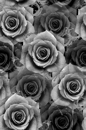 玫瑰印花华亿平台图片