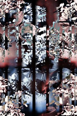 条纹印花华亿平台图片