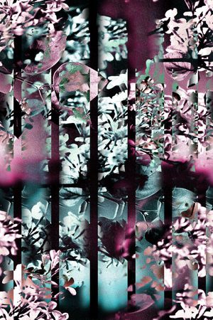 条纹印花华亿平台图片