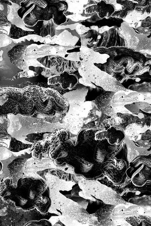 黑白印花华亿平台图片