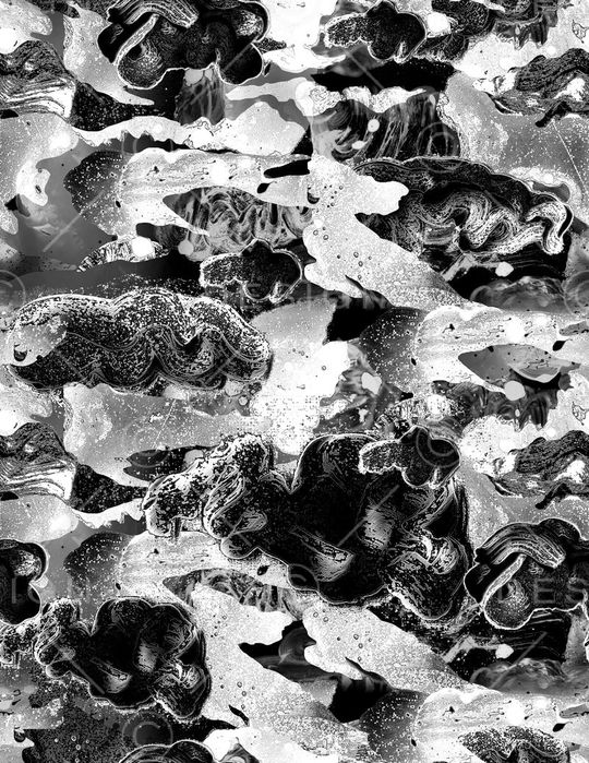 黑白印花华亿平台图片