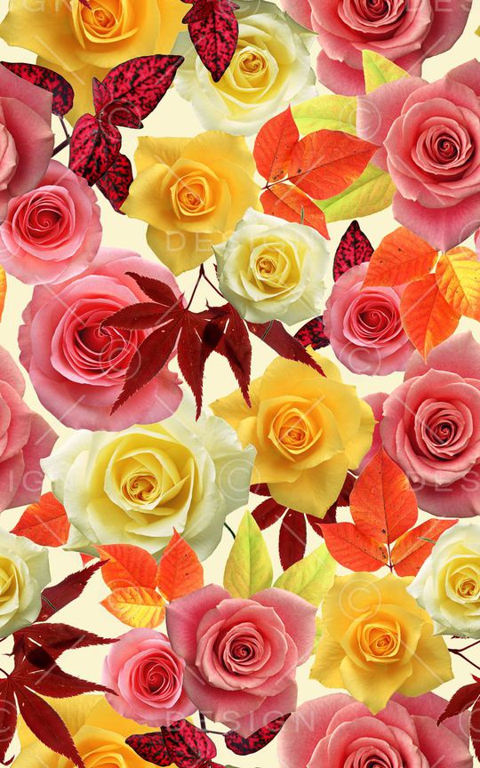 牡丹印花华亿平台图片