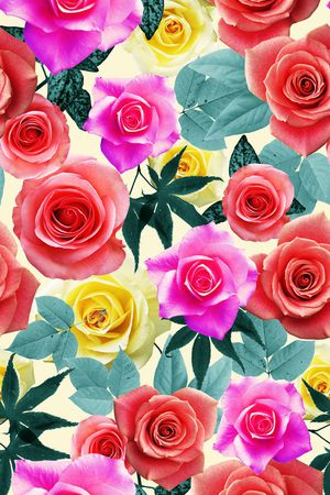 牡丹印花华亿平台图片