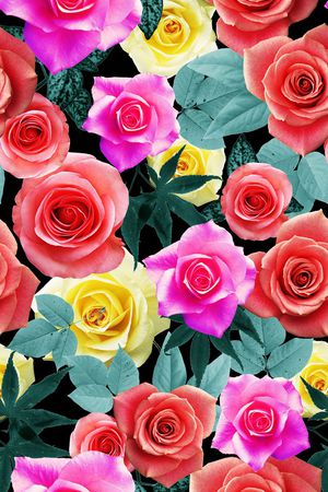 牡丹印花华亿平台图片