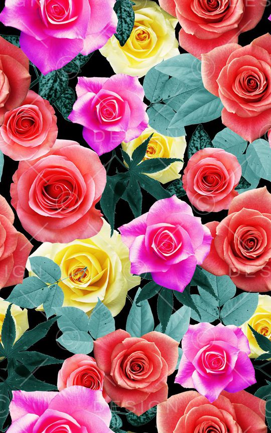 牡丹印花华亿平台图片