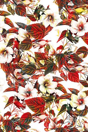 乱花印花华亿平台图片