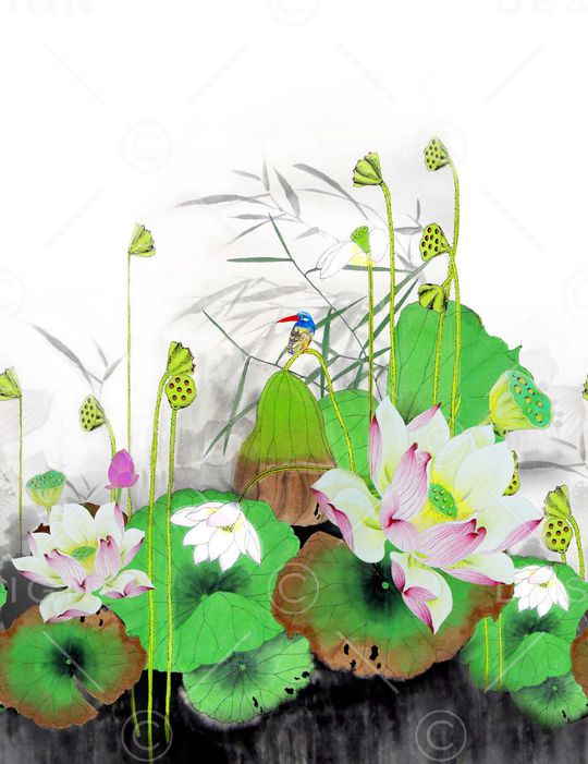 荷花印花华亿平台图片