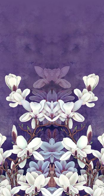 608319-中国风定位晕染玉兰1-2