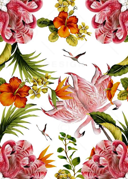 火烈鸟组合印花华亿平台图片