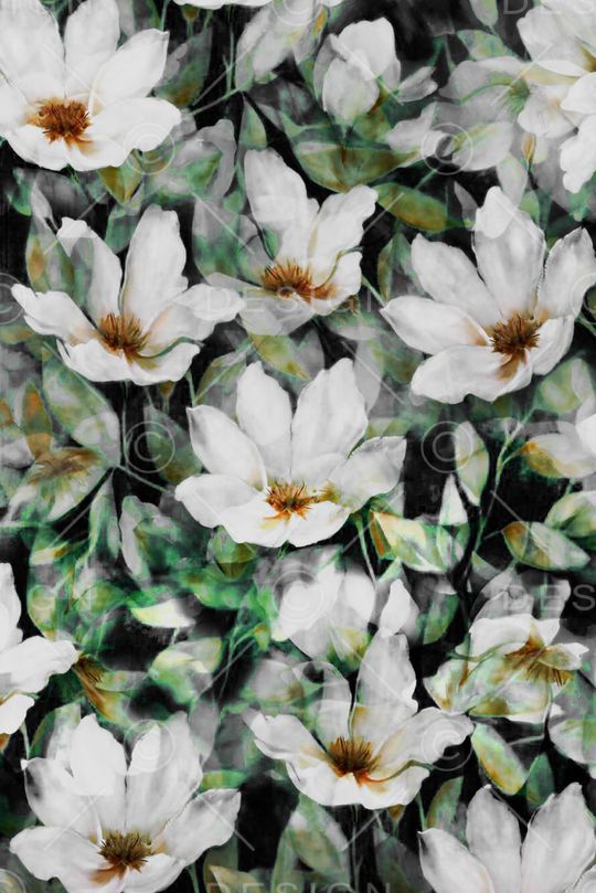 零点--女装印花华亿平台图片