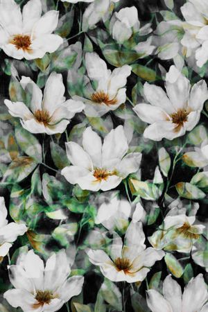 零点--女装印花华亿平台图片