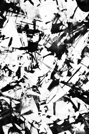 黑白纹理花印花华亿平台图片