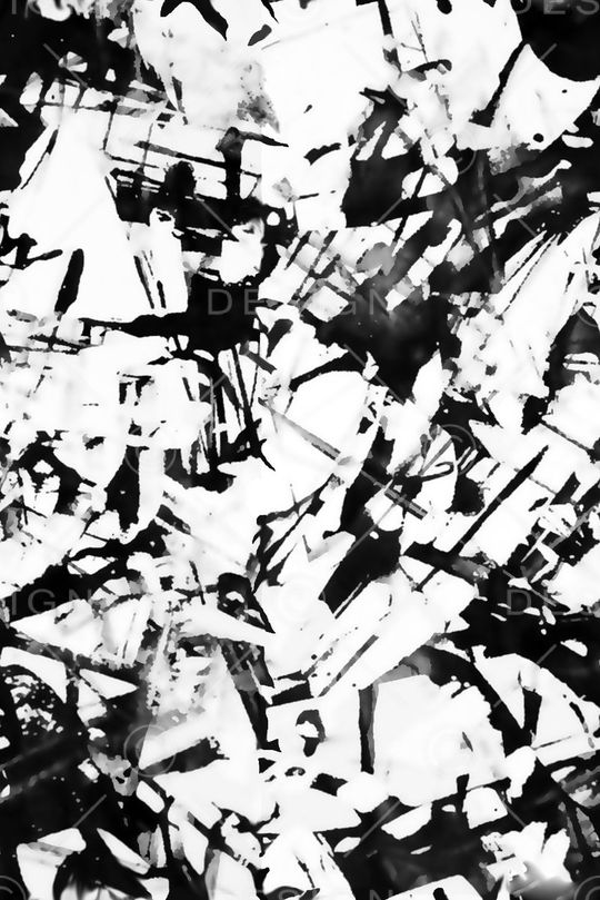 黑白纹理花印花华亿平台图片