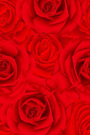 玫瑰印花华亿平台图片