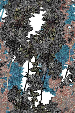 时尚印花华亿平台图片