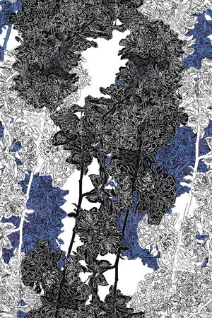 时尚印花华亿平台图片