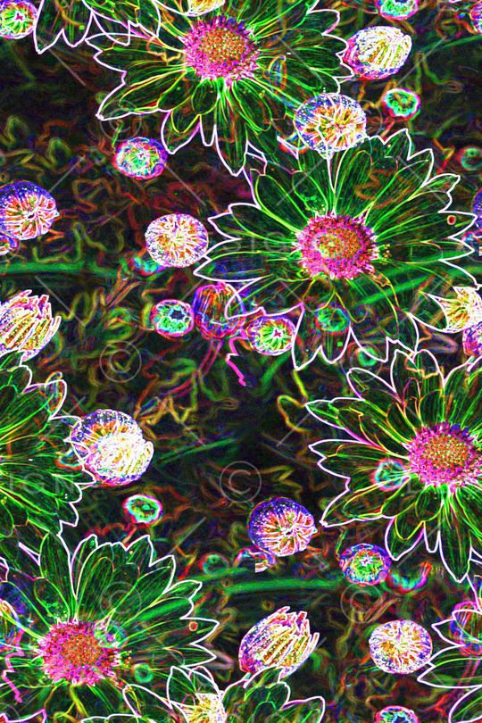 花朵印花华亿平台图片