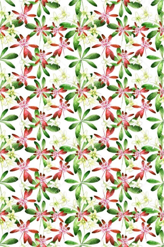 多色印花华亿平台图片