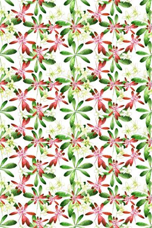 多色印花华亿平台图片