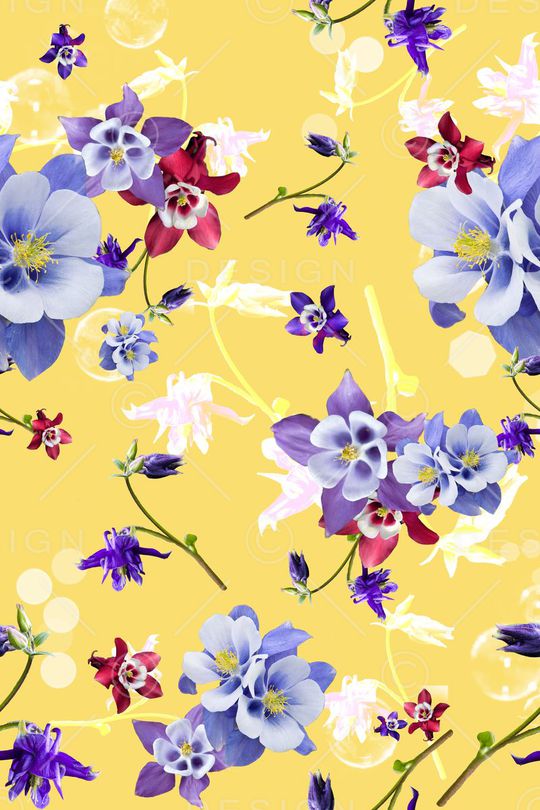 时尚女装印花华亿平台图片