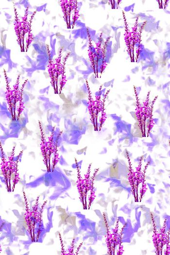 609193-时尚花卉11233