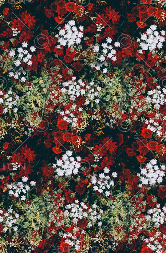 旗袍印花华亿平台图片