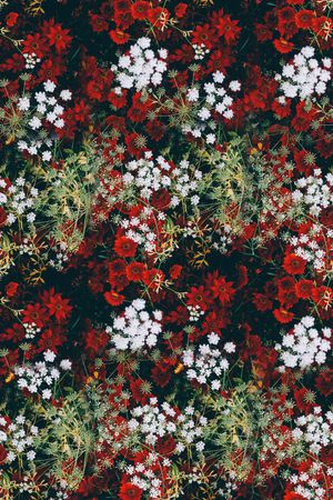 旗袍印花华亿平台图片