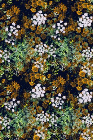 旗袍印花华亿平台图片