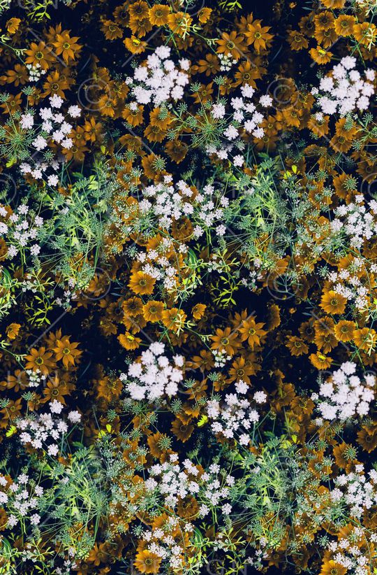 旗袍印花华亿平台图片