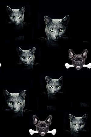 狗印花华亿平台图片