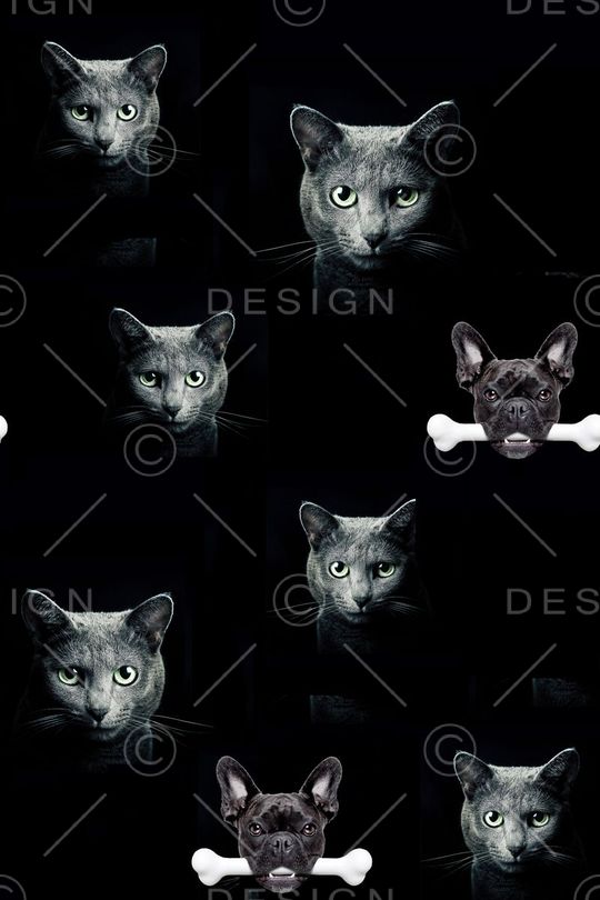 狗印花华亿平台图片