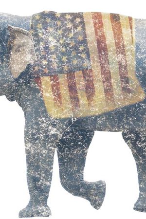 大象印花华亿平台图片