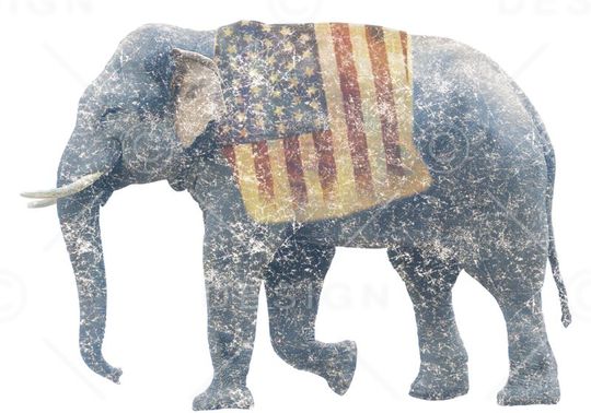 大象印花华亿平台图片