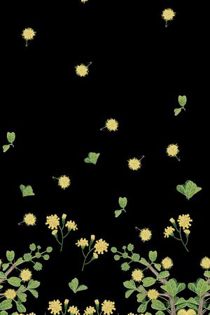 雏菊印花华亿平台图片