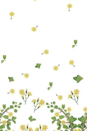 雏菊印花华亿平台图片