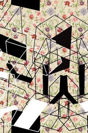 错层的空间印花华亿平台图片