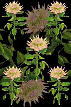 向日葵印花华亿平台图片